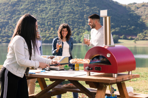 Alfa Forni Moderno Portable Grau – Bild 4